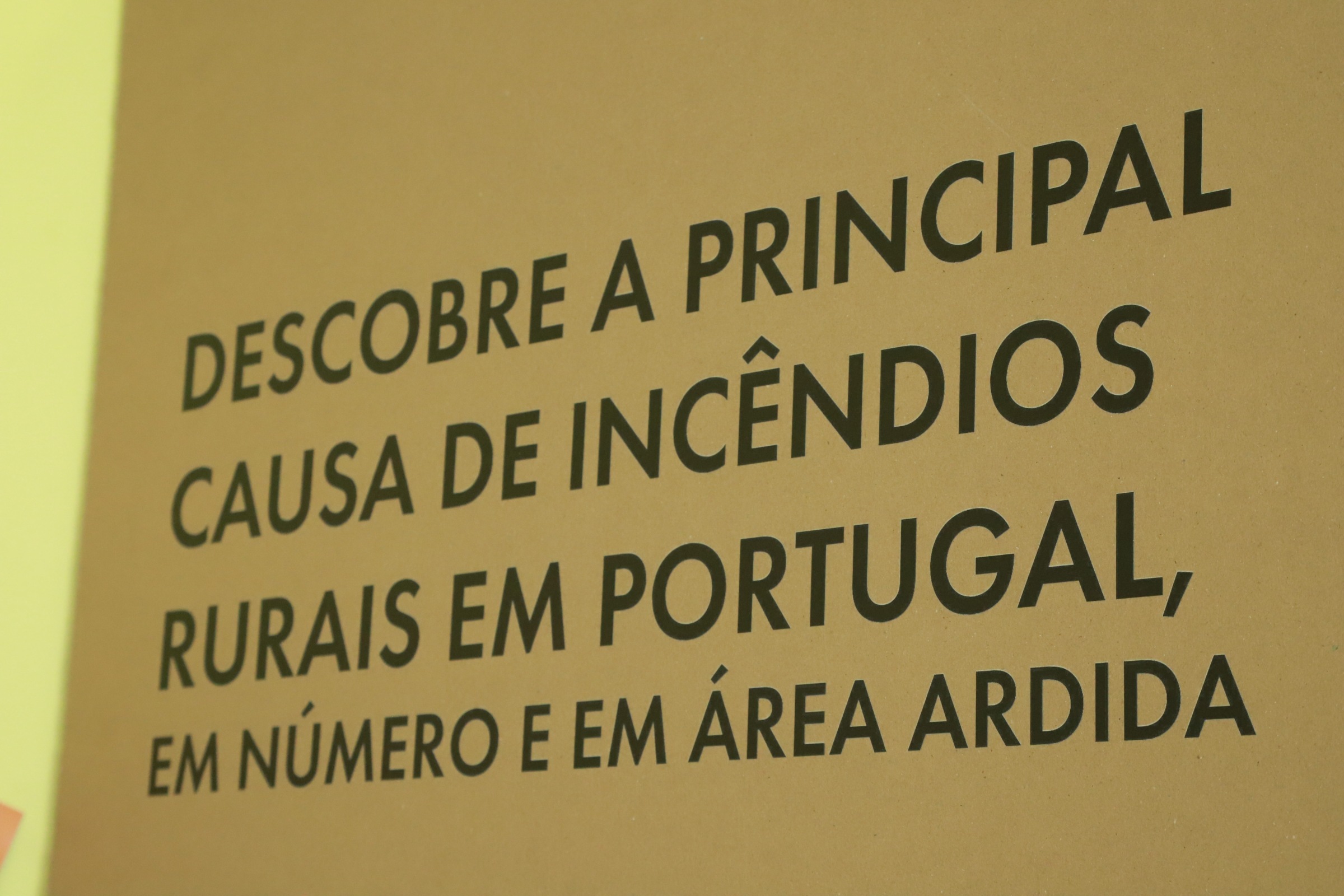 INCENDIOS PORTUGAL
