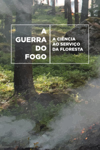 A Guerra do Fogo