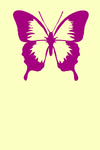 Borboleta