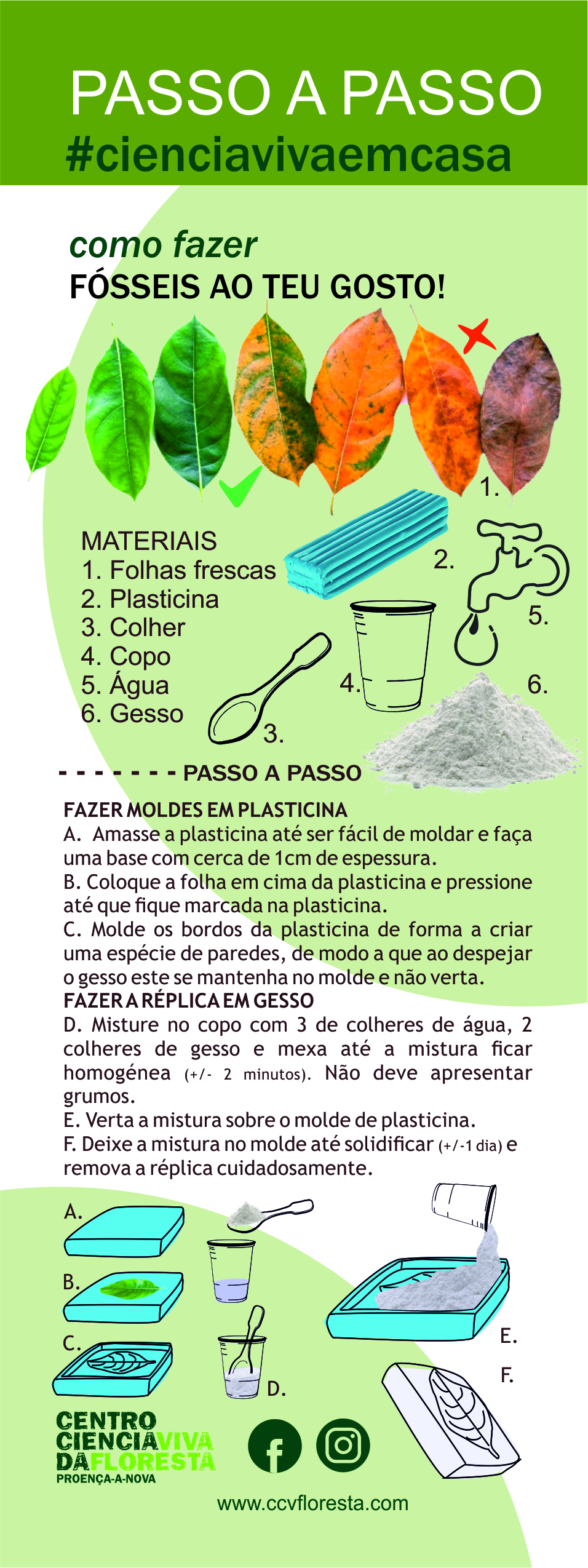 Como Fazer Fósseis ao Teu Gosto