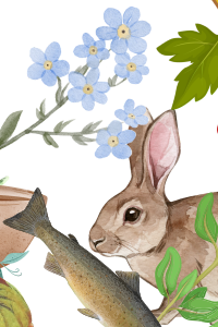 Alimentação da Floresta