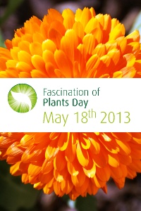 Dia Internacional do Fascínio das Plantas