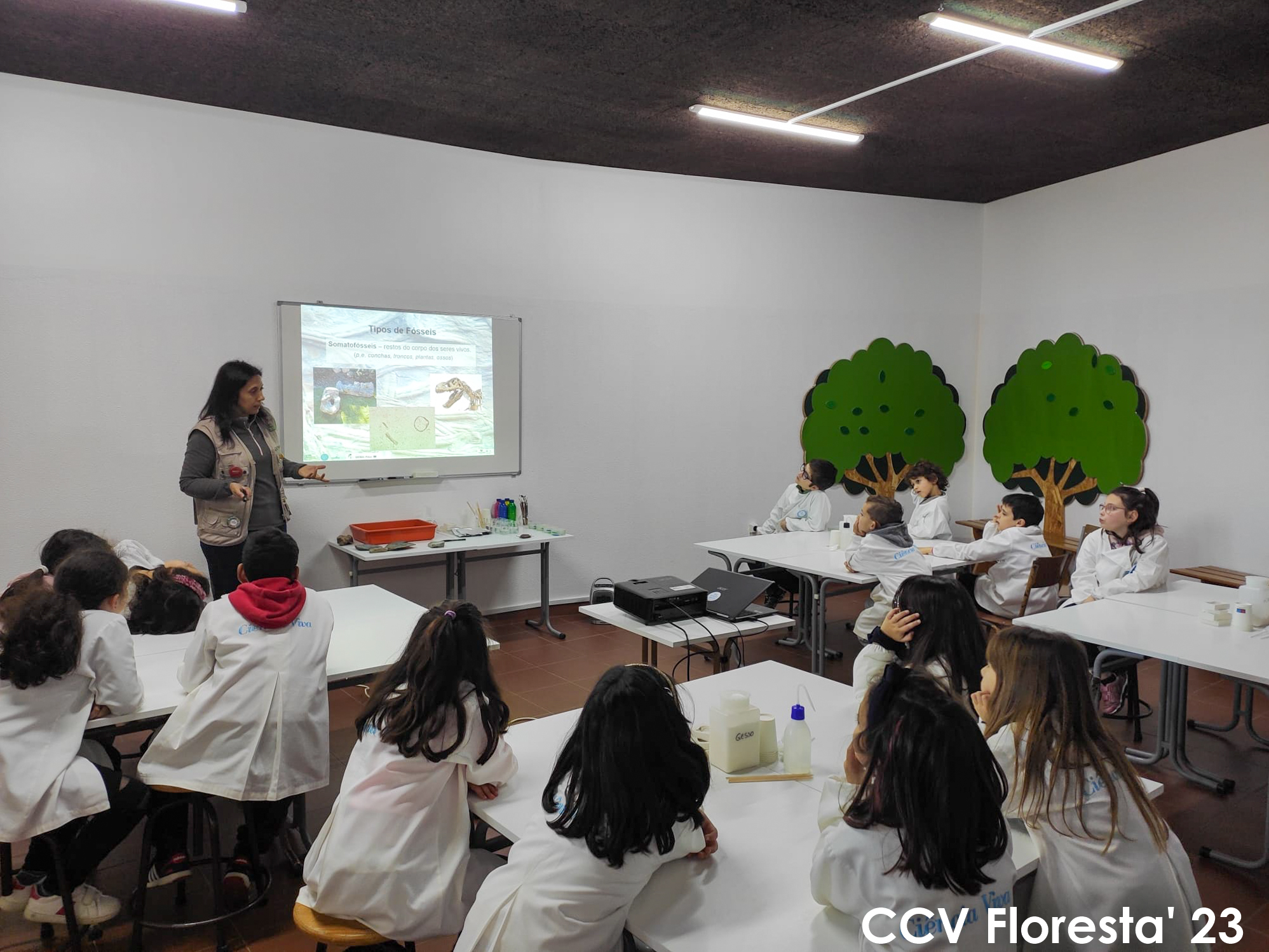 Escola Ciência Viva