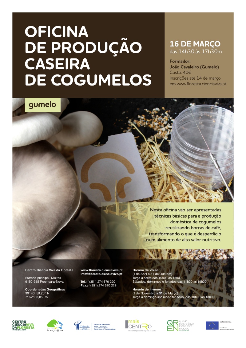 Produção Caseira de Cogumelos - Cartaz