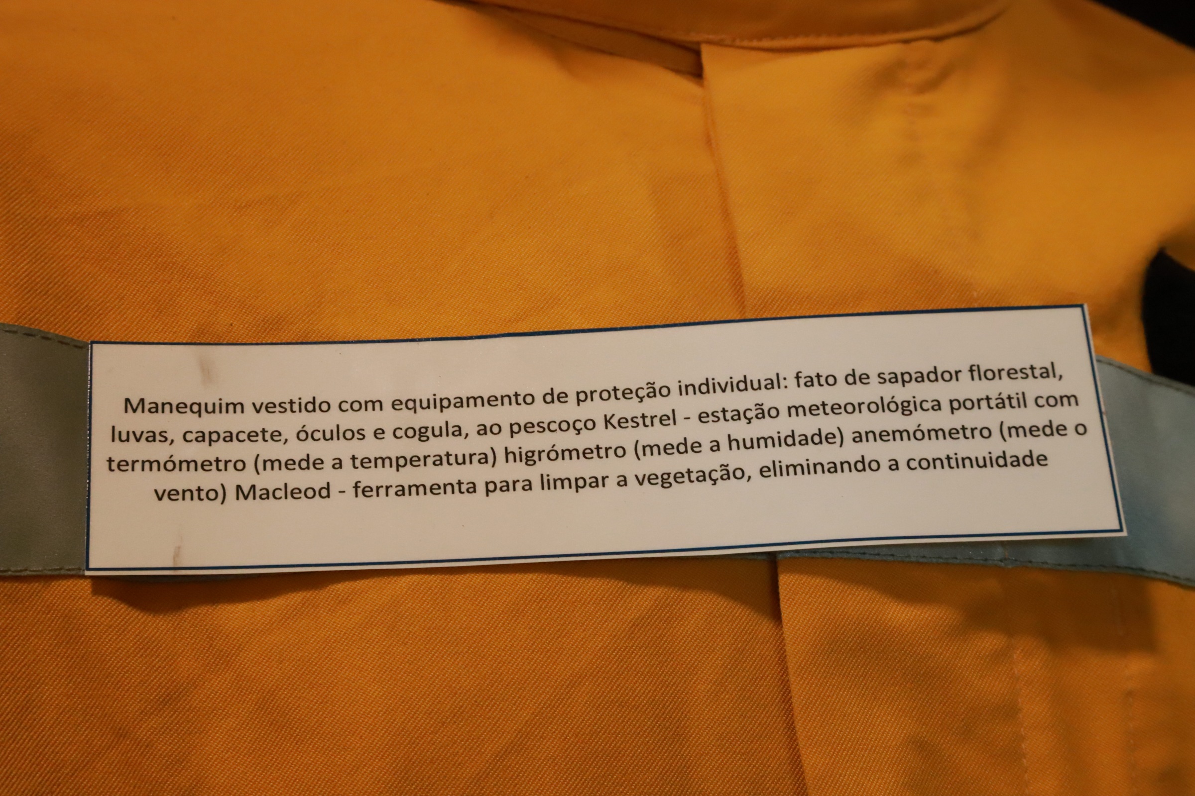 frase