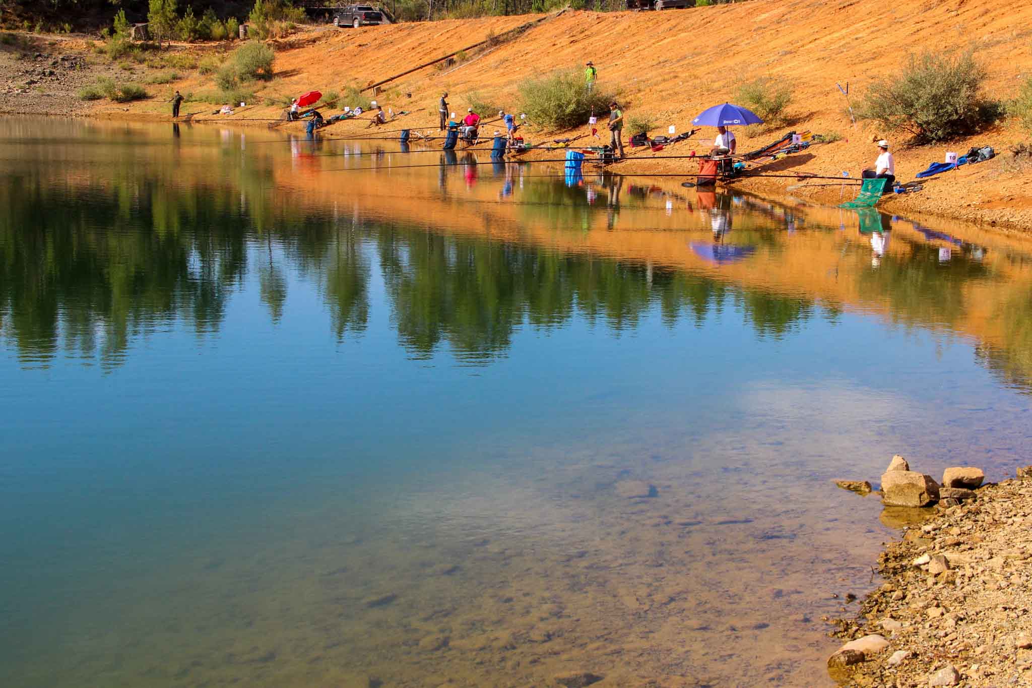 pepa pesca novo