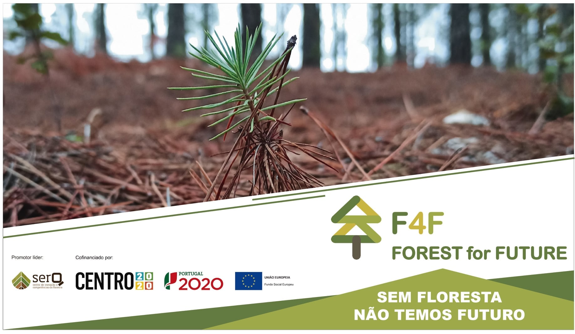 F4F - Forest for Future