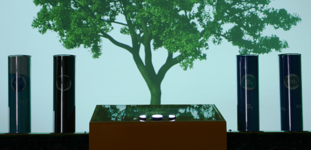 Encerramento Temporário da Exposição